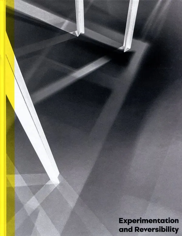 Experimentation and Reversibility