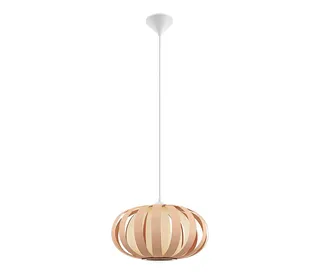 Eglo 32439 - Závesné svietidlo ARENELLA 1xE27/60W/230V 32439